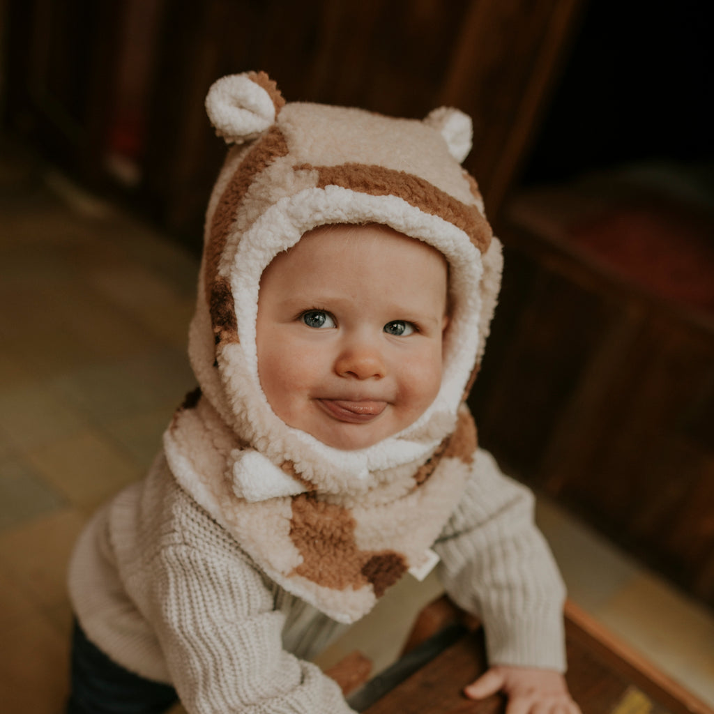 Bonnet teddy dog