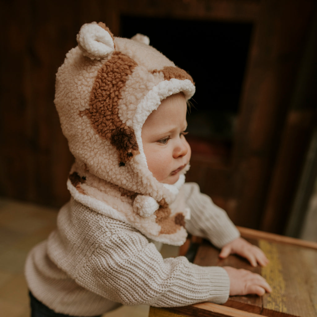 Bonnet teddy dog