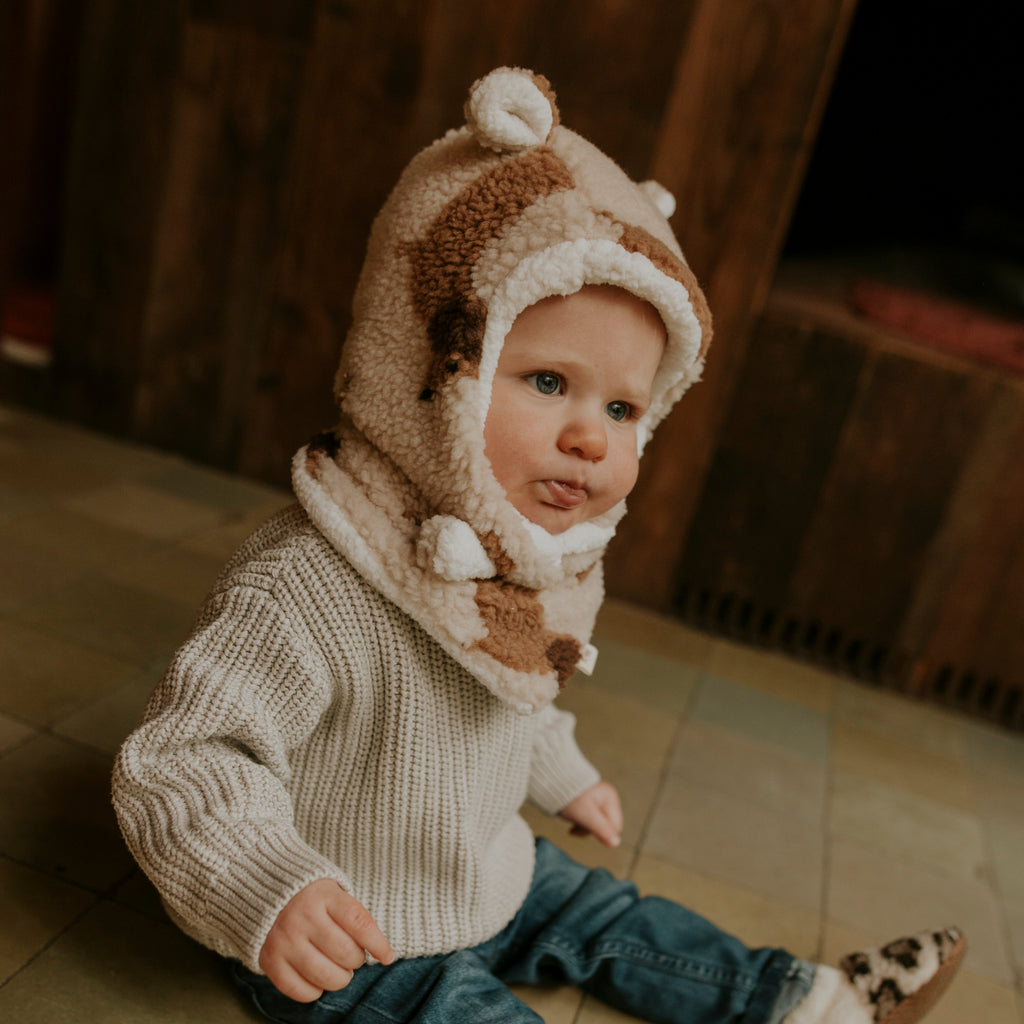 Bonnet teddy dog