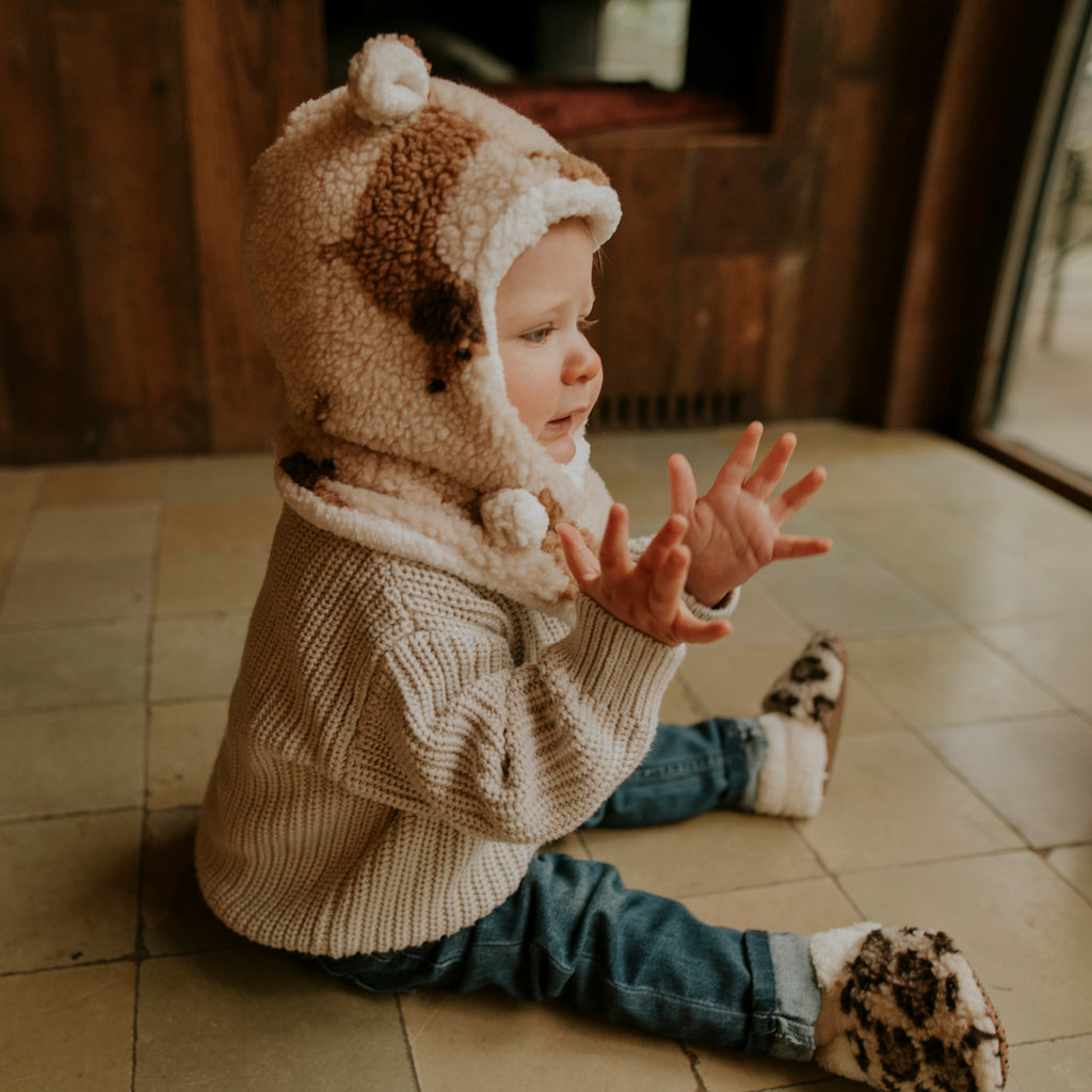 Bonnet teddy dog