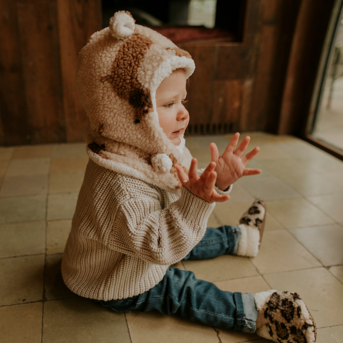 Bonnet teddy dog