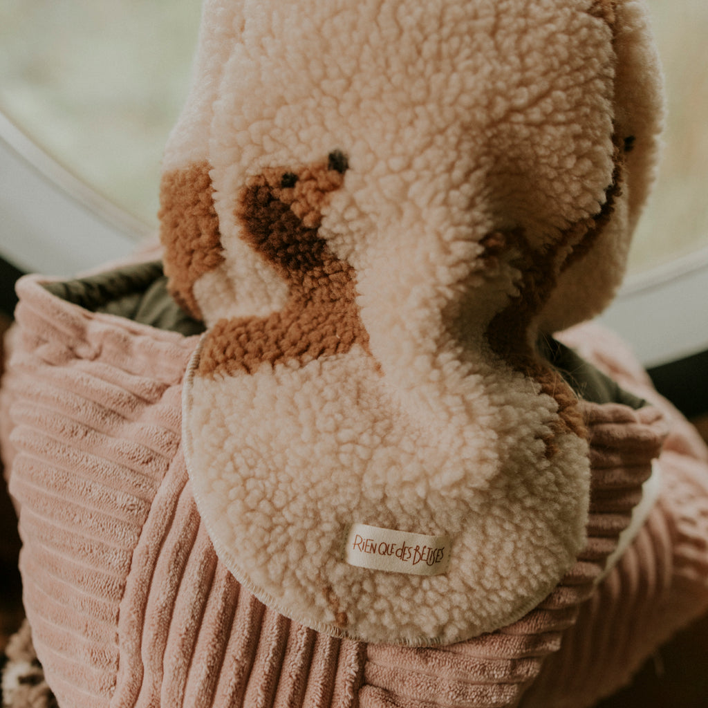 Cagoule teddy dog