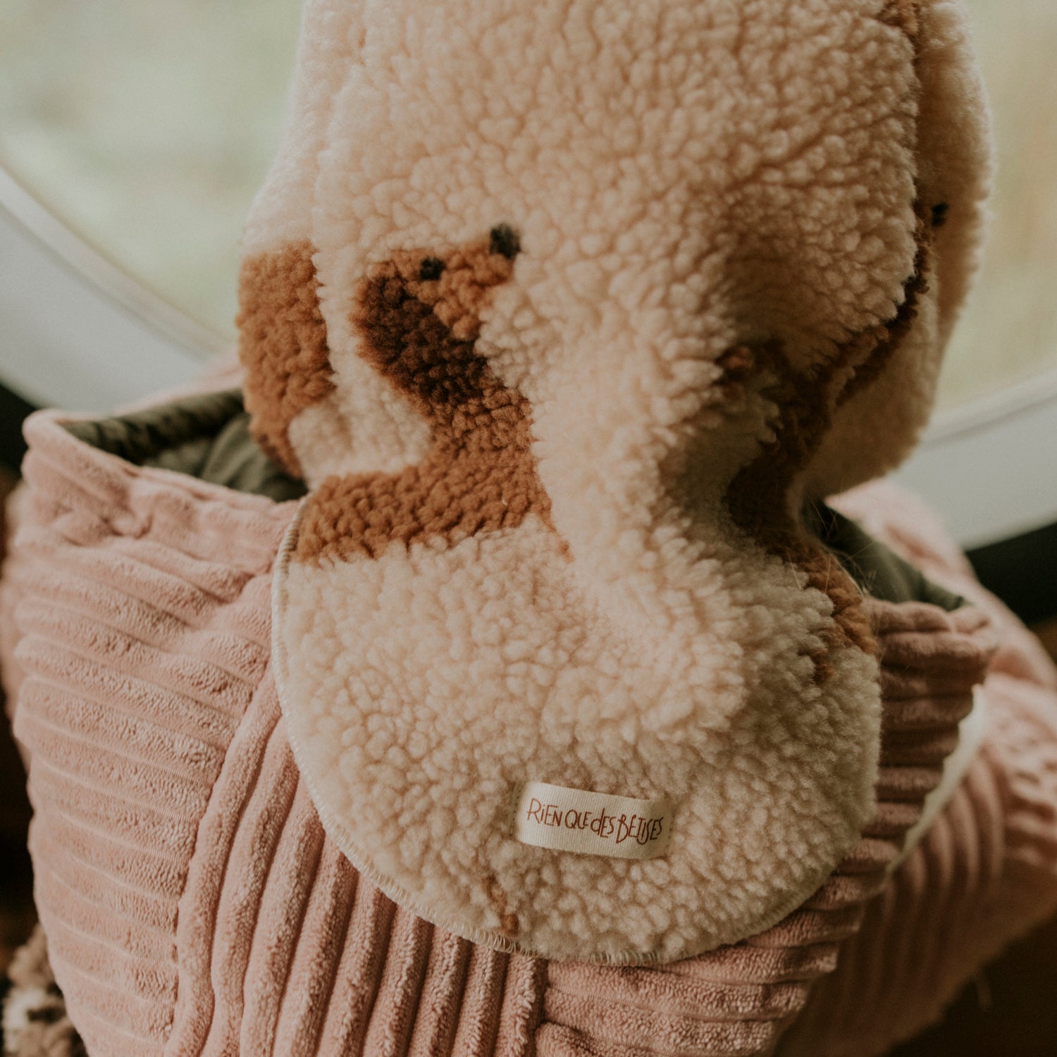 Cagoule teddy dog