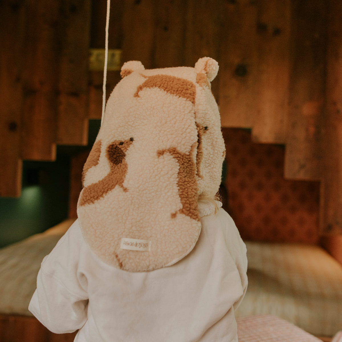 Cagoule teddy dog