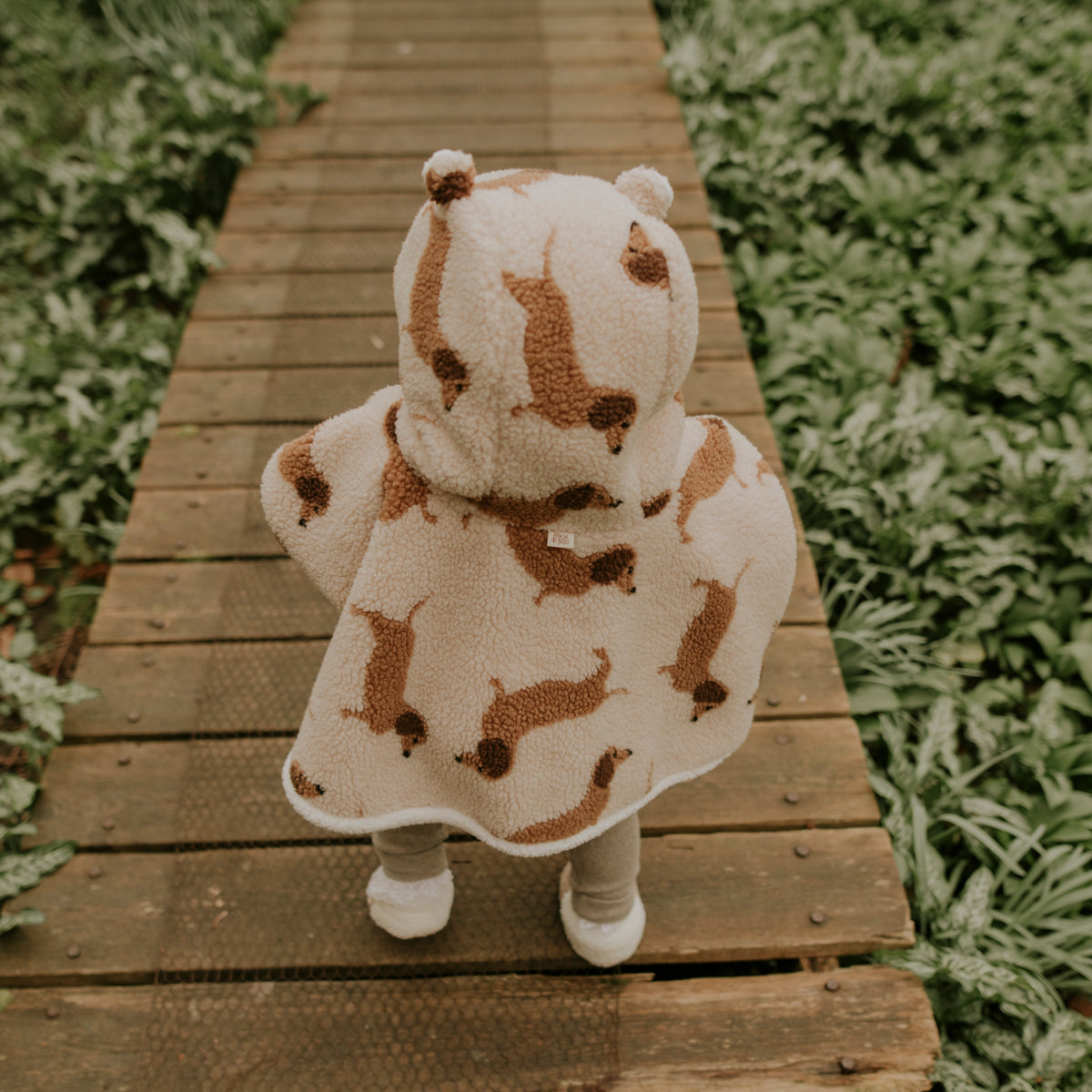 Poncho bébé teddy dog