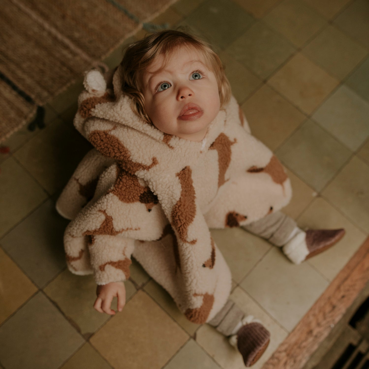 Poncho bébé teddy dog